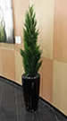 Artificial conifer plant