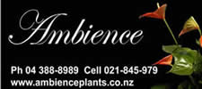 Ambience plants