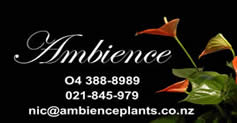 Ambience plants contact details